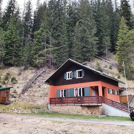 Auszeithuette Villa Flattnitz Dış mekan fotoğraf